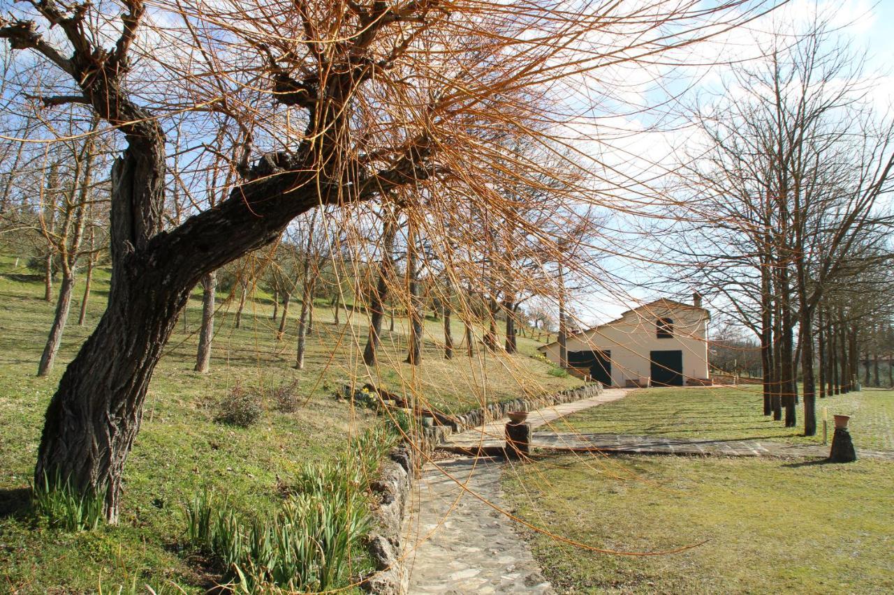 Podere La Campagnola * San Gimignano