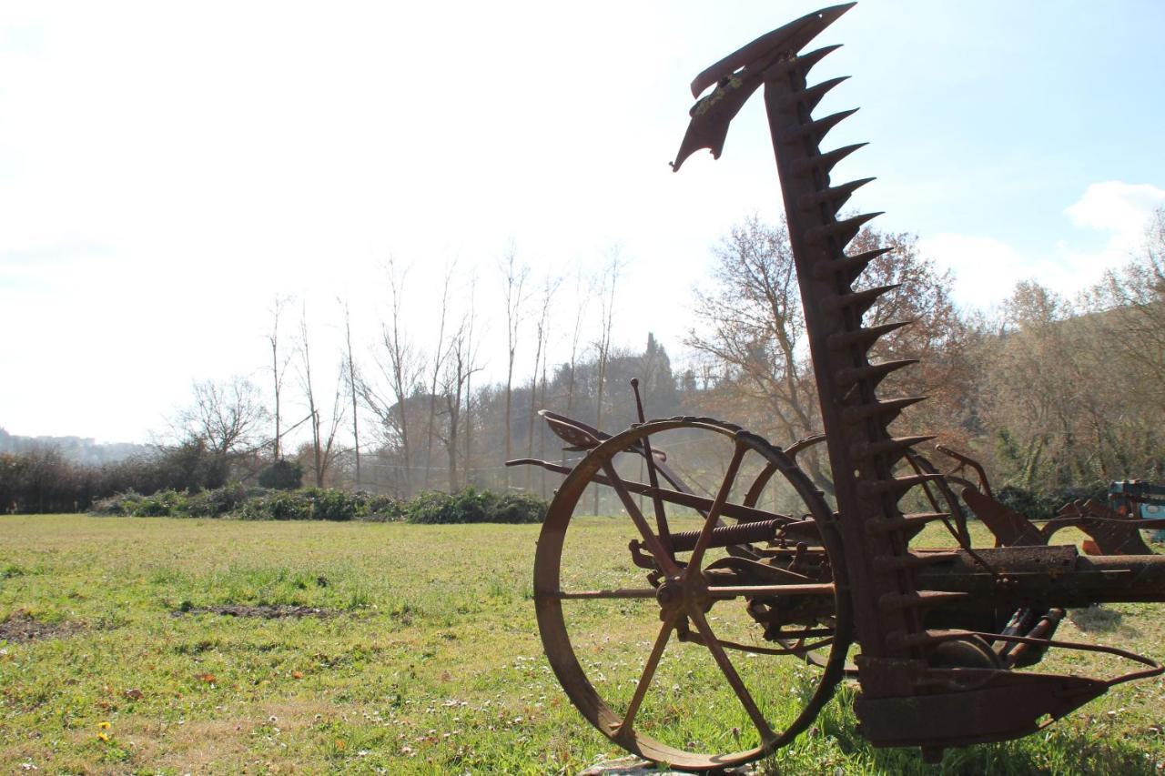 Holiday home Podere La Campagnola