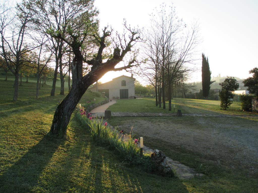Podere La Campagnola Holiday home San Gimignano